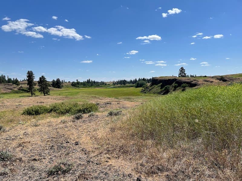 Photo by Vincent Sheridan (Google)