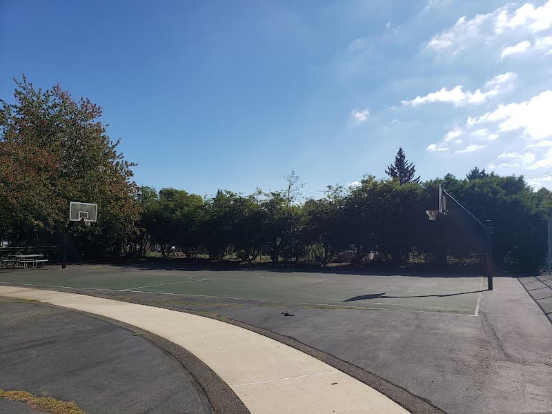 Basketball Court