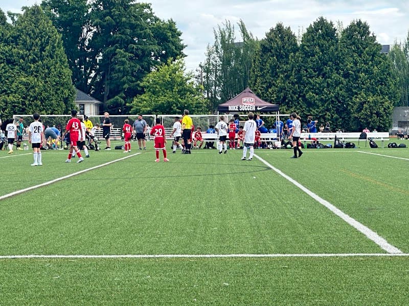 Photo by Anwar Beisa (Google)