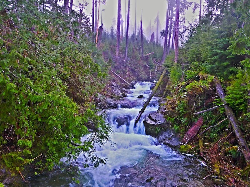 Photo by L A Duerks (Google)