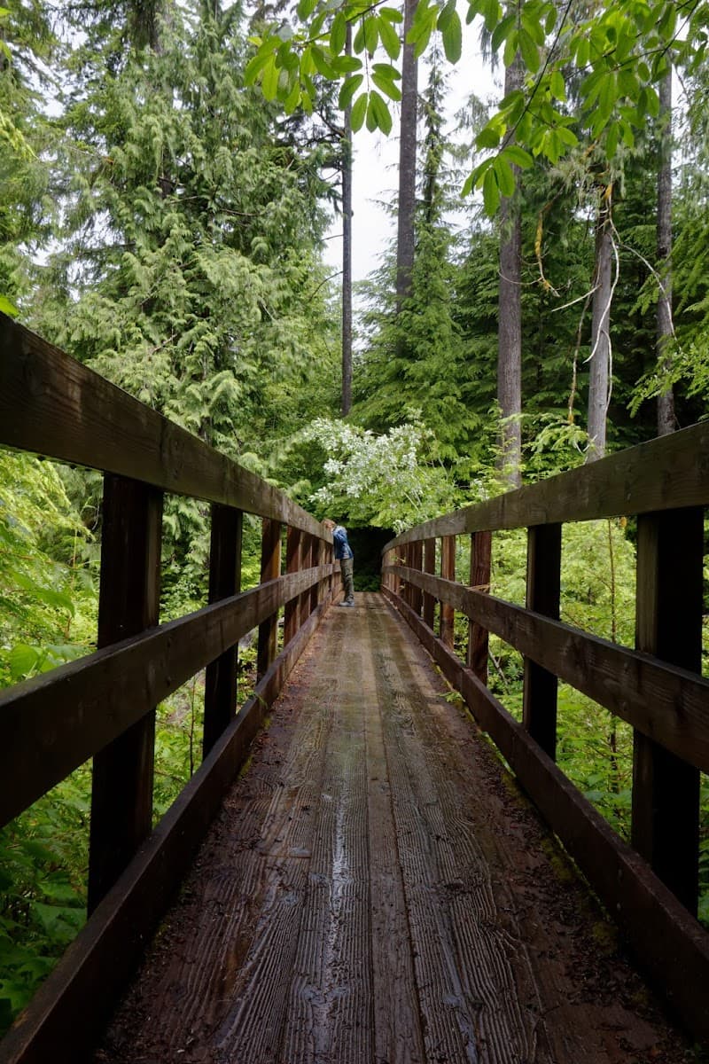 Quinault Recreation Area