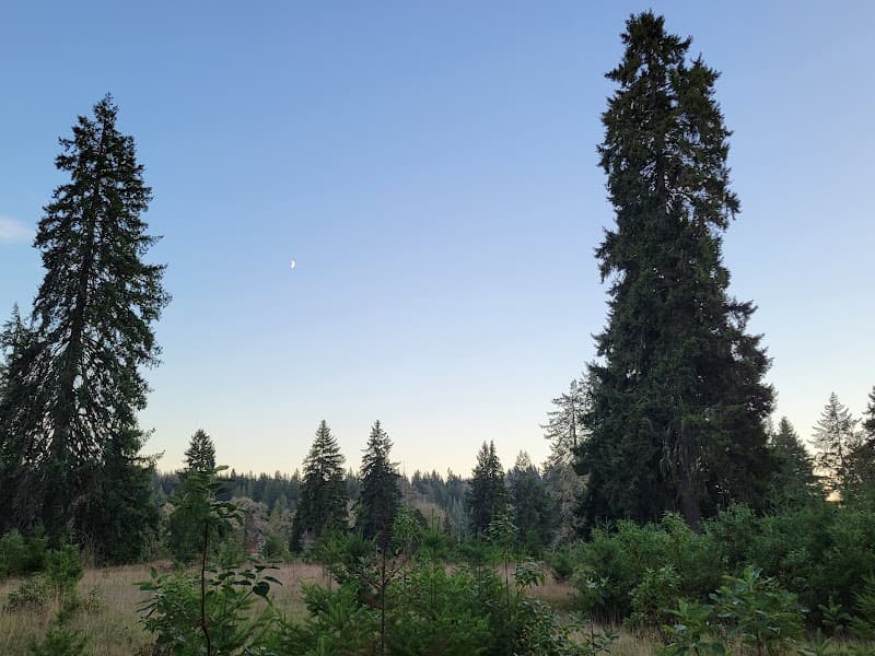 Oakland Bay Recreational Area