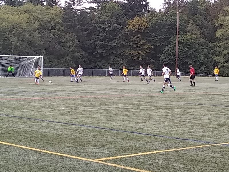 Photo by Nicole castellani (Google)