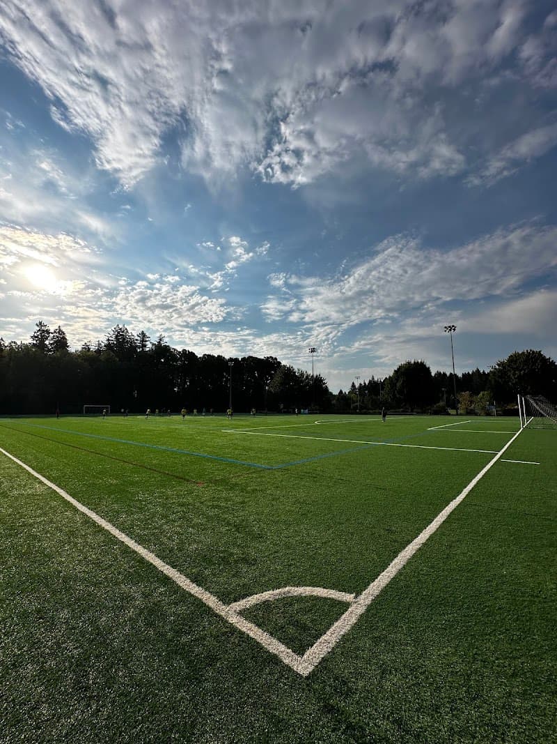 Photo by Chul Lee (Google)