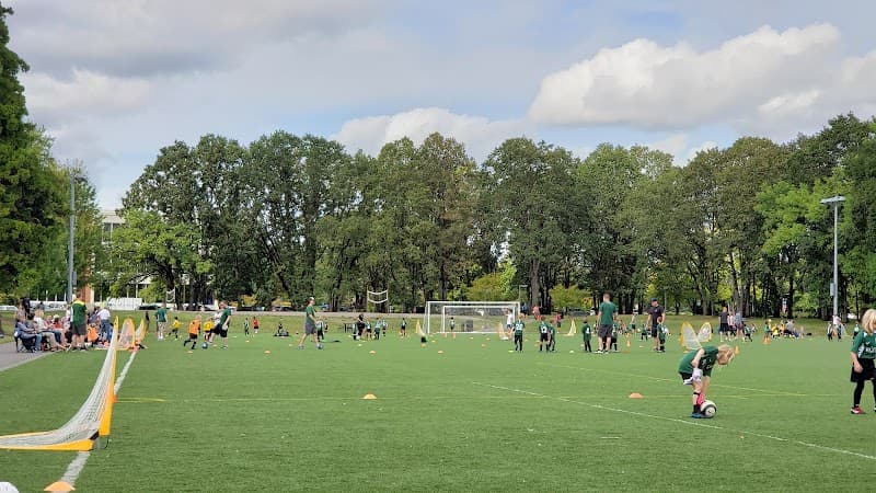 Photo by Ryan Nelson (Google)