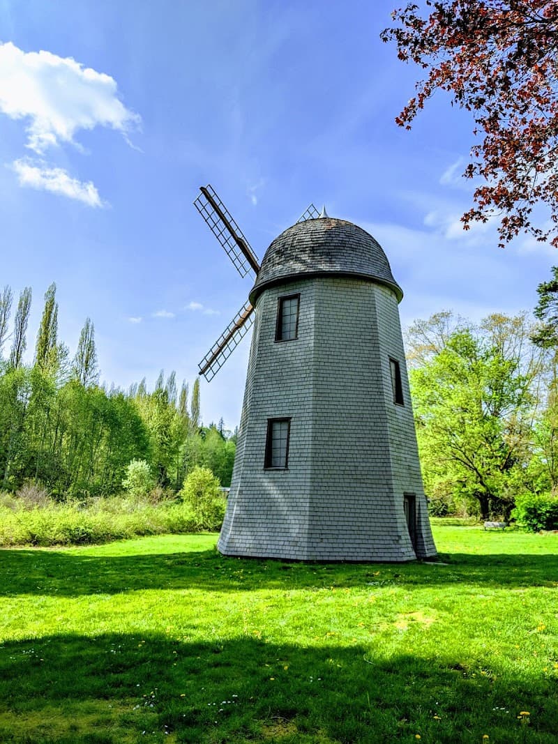 Photo by Selina M (Google)