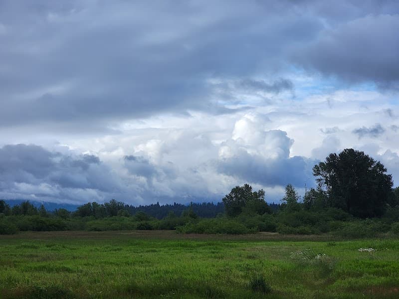 Marymoor Soccer Field 5