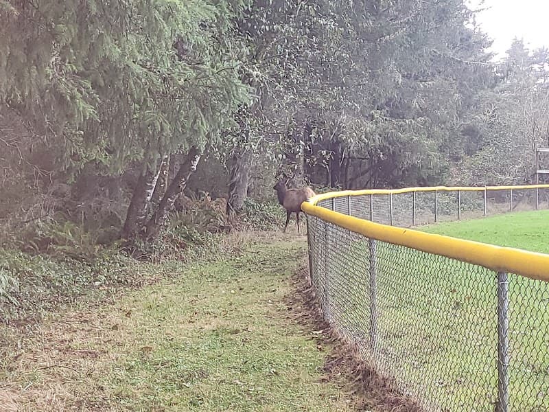 Photo by Sean Coulter (Google)