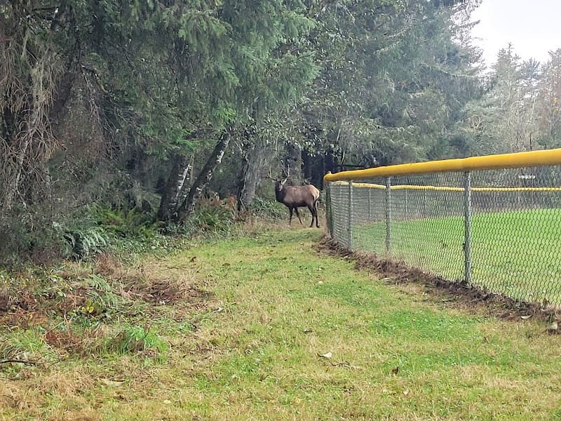 Photo by Sean Coulter (Google)