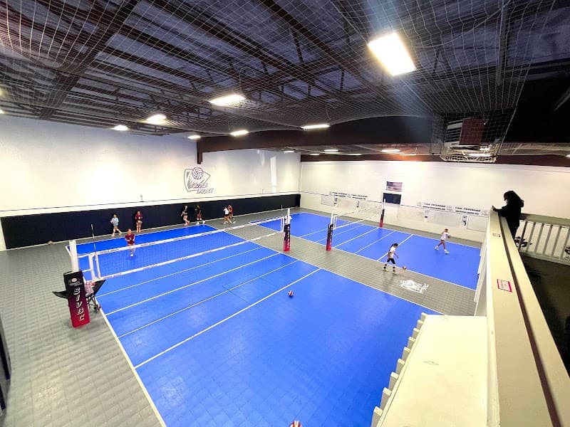 Photo by Sudden impact volleyball club (Google)