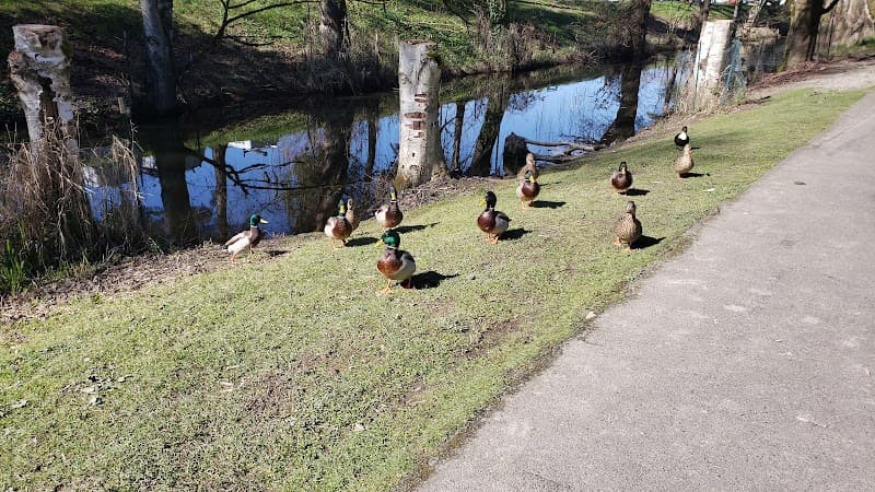North Creek Sports Field 1