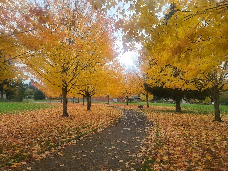 Photo by Albert Hoy (Google)