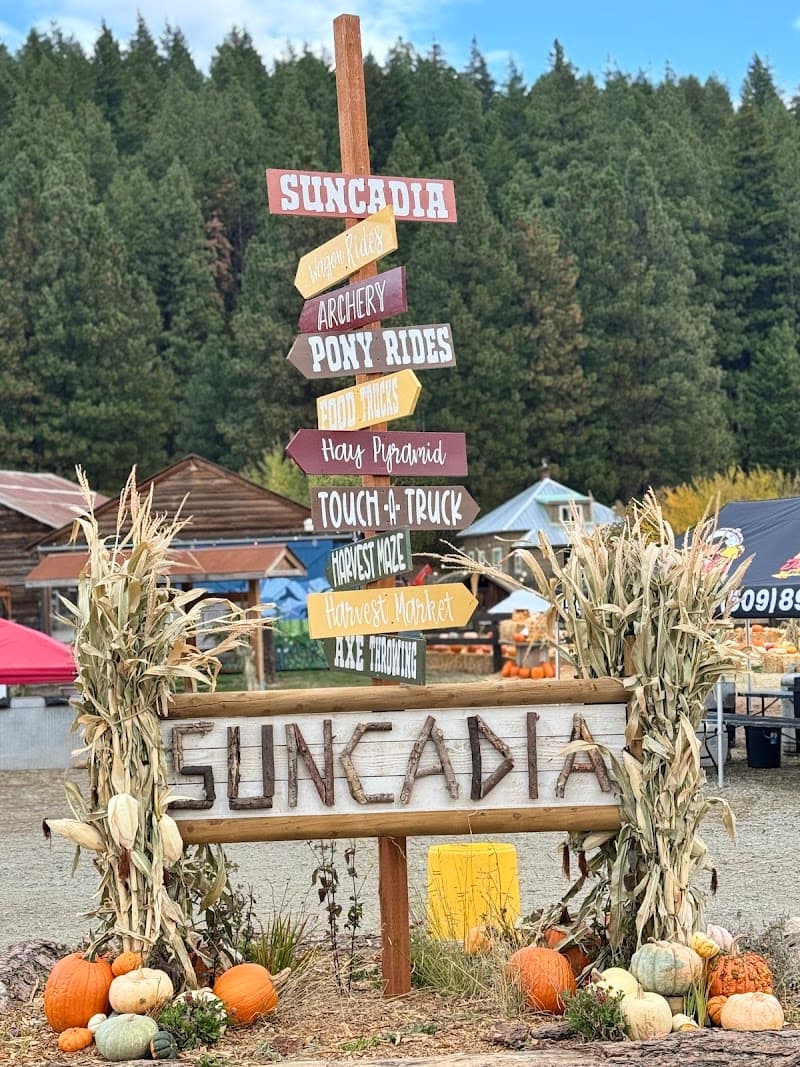 Photo by Fedor (Google)