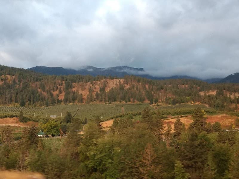 Photo by Edward Sofield (Google)