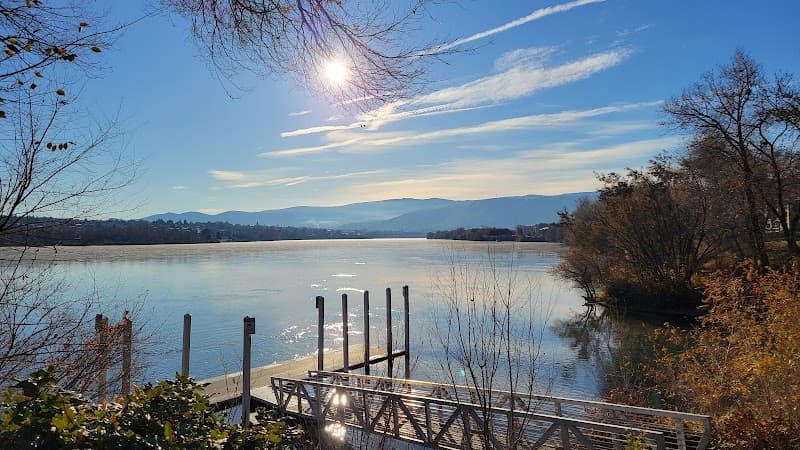 Photo by Hanchuan Peng (Google)