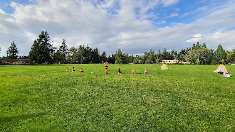 Photo by Masie Morshedi (Google)