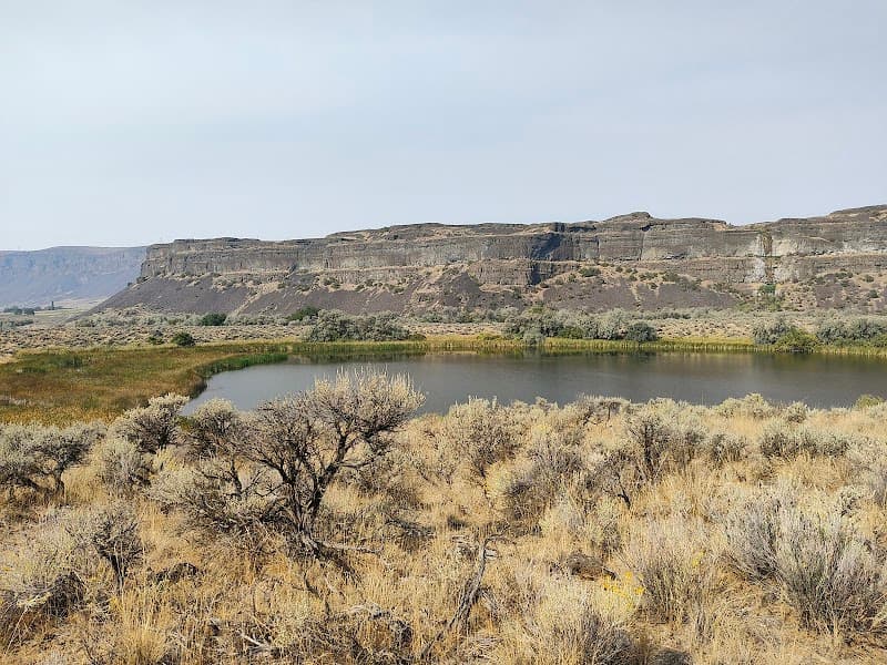 Photo by Sue Folkerts (Google)