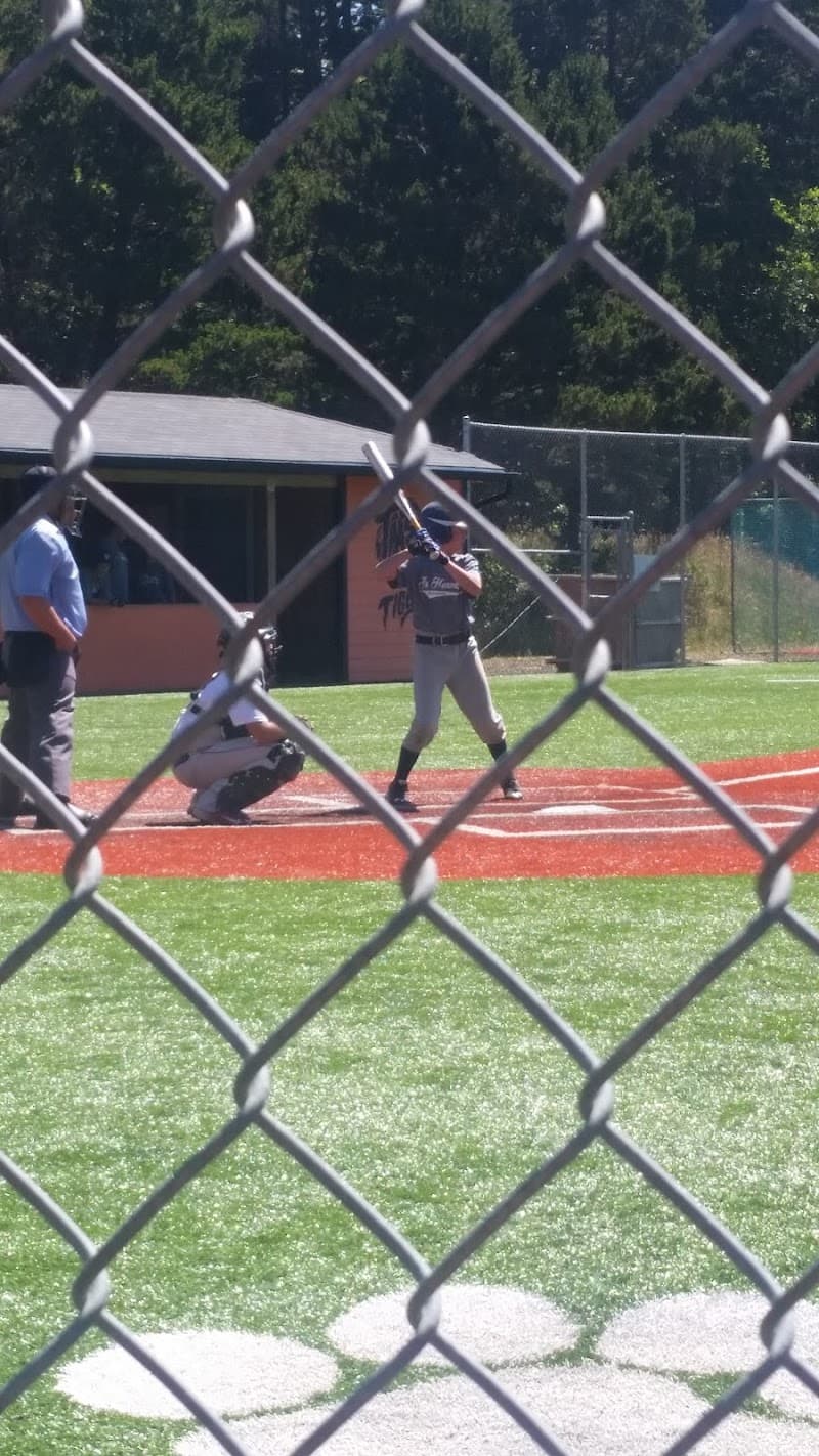 Photo by Lindsay Lewis (Google)