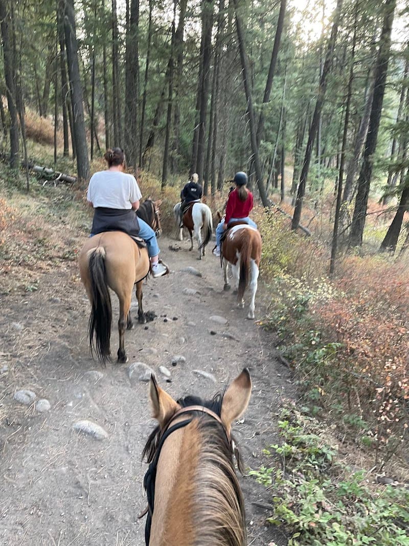 Photo by Paper Airplanes (Google)