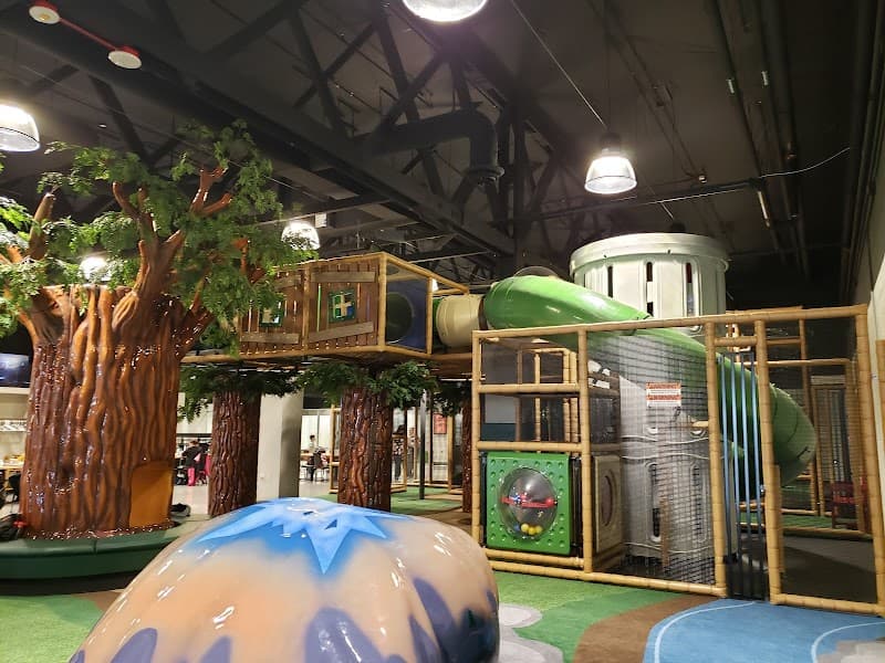 Photo by Judy Mayulianos (Google)