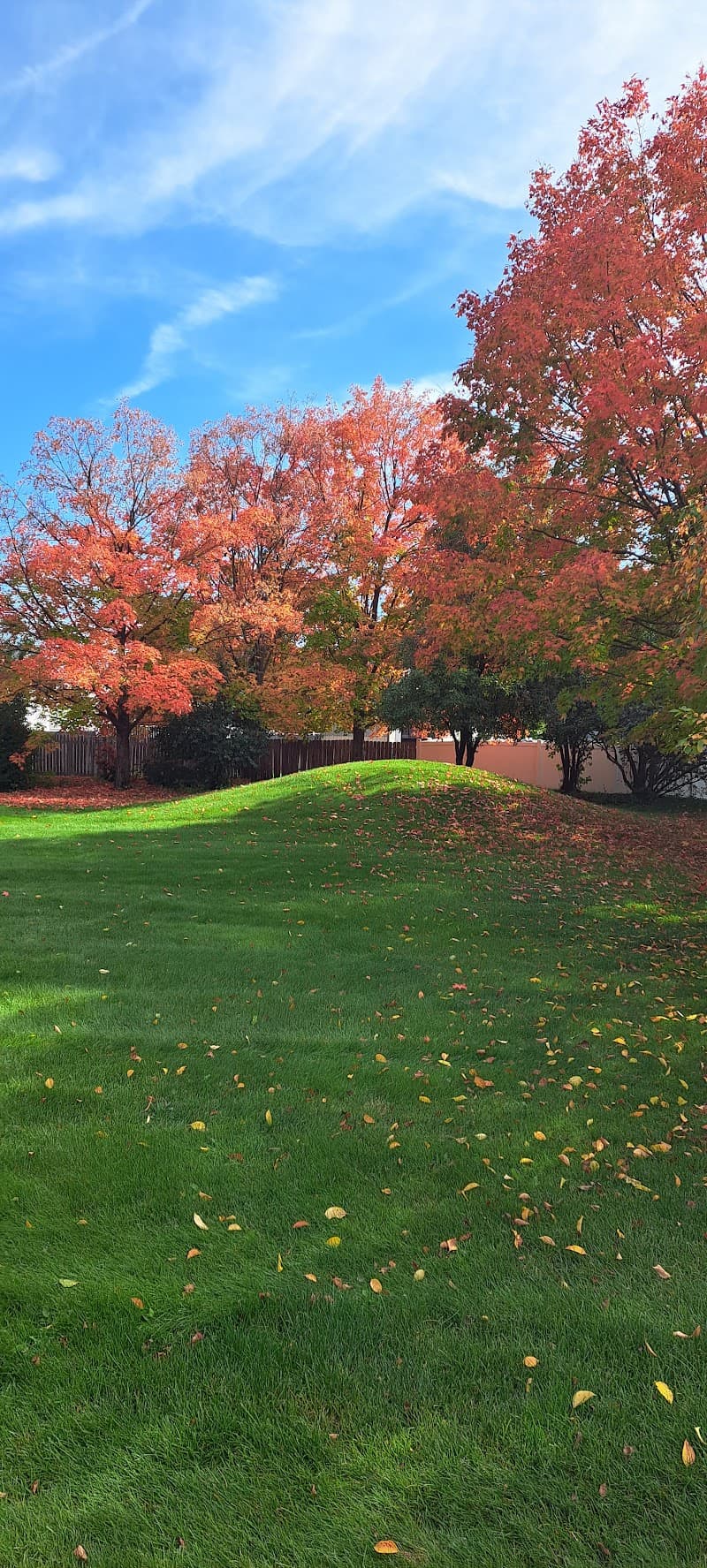 Photo by Robert Hendricks (Google)