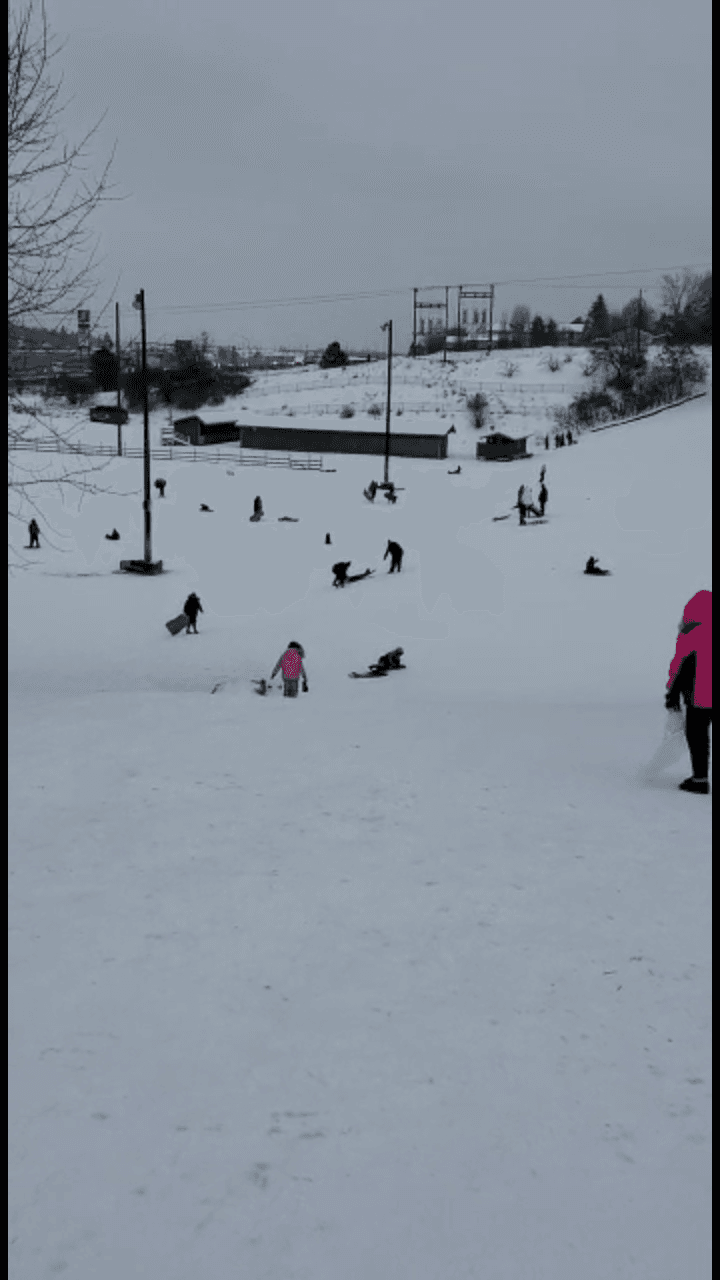 Photo by Maureen (Google)