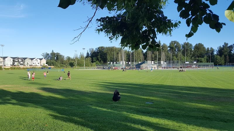 Photo by George Chiriac (Google)