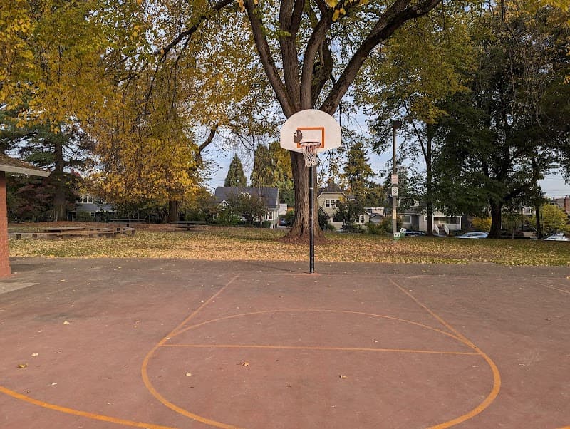 Basketball Court