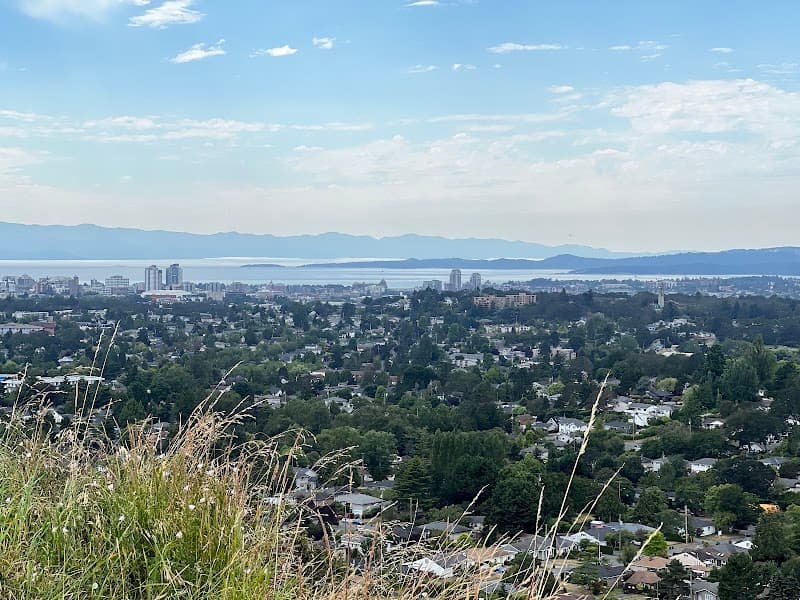 Photo by 张硕 (Google)