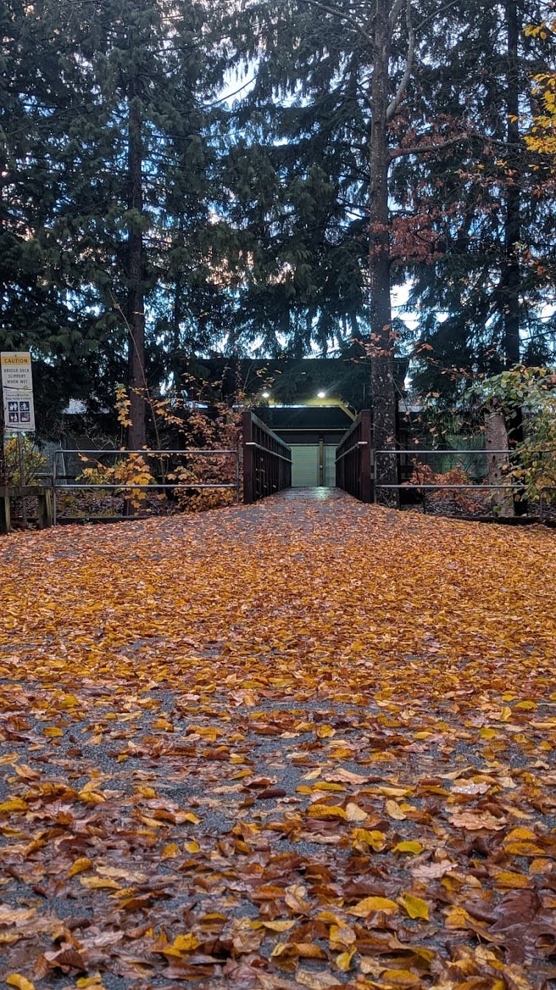 Langley City Park, Seniors Diamond