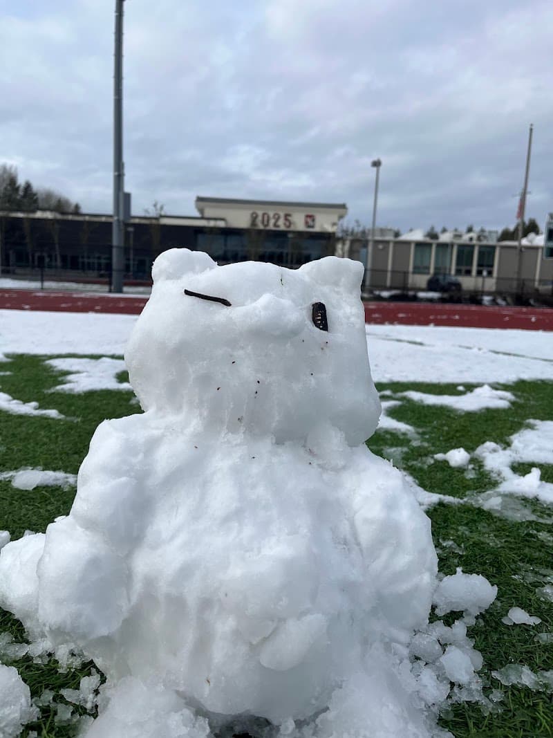 Photo by byleth eisner (Google)