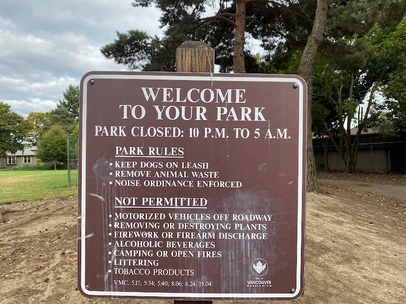 Photo by Elona Goldman (Google)