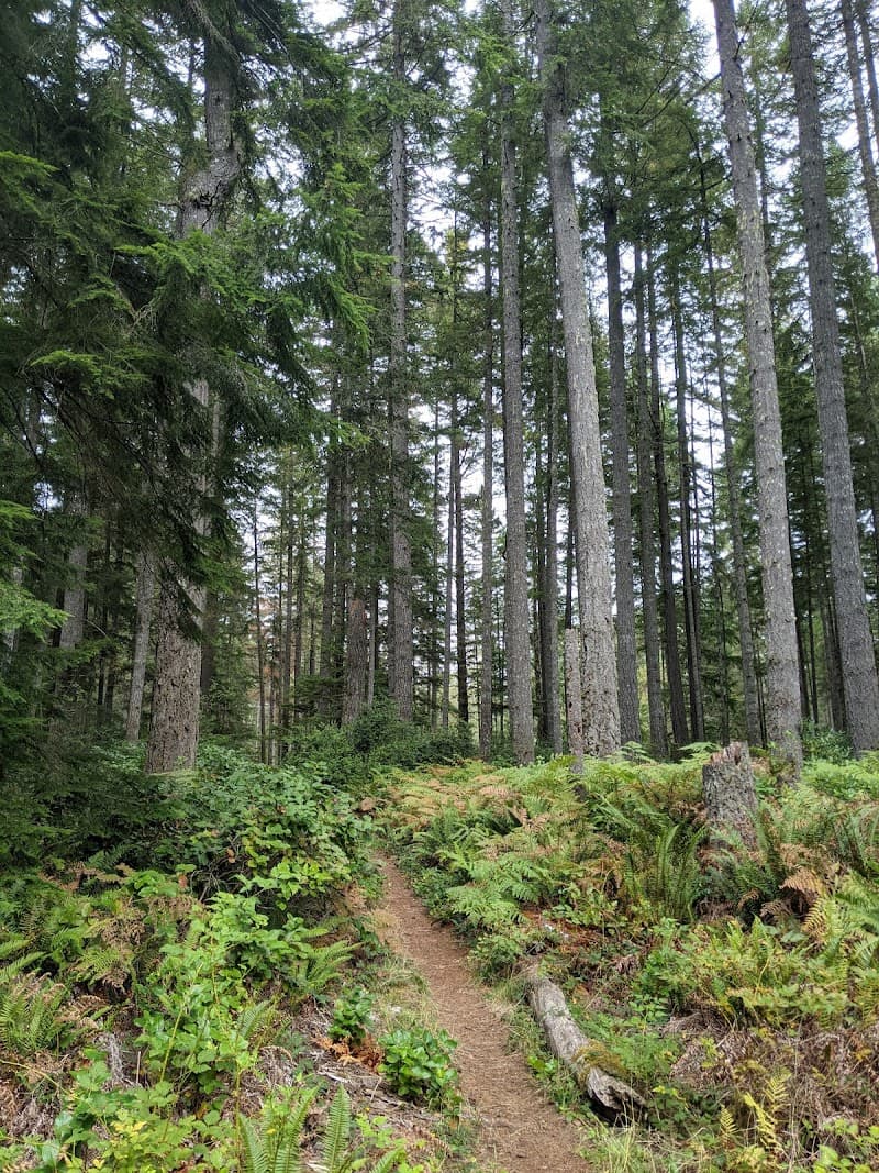 Trident Lakes Recreation Area