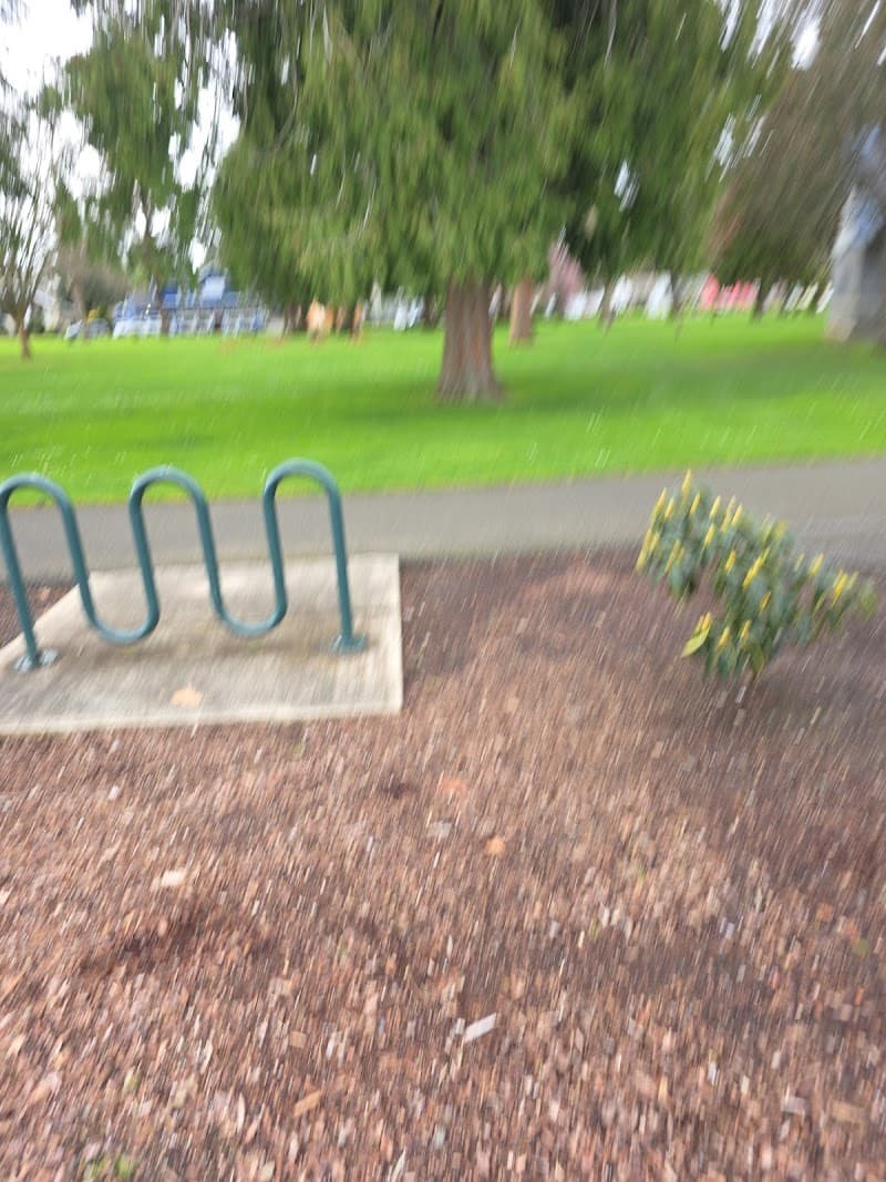 Photo by Juan Loya (Google)