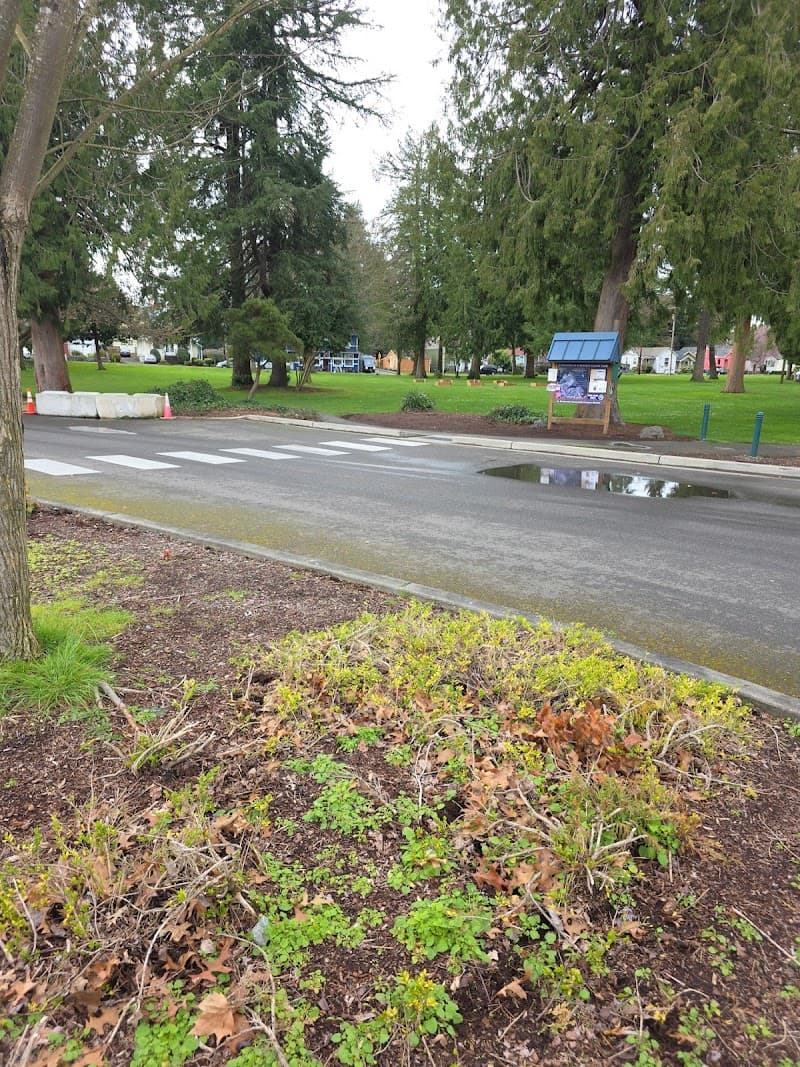 Photo by Juan Loya (Google)