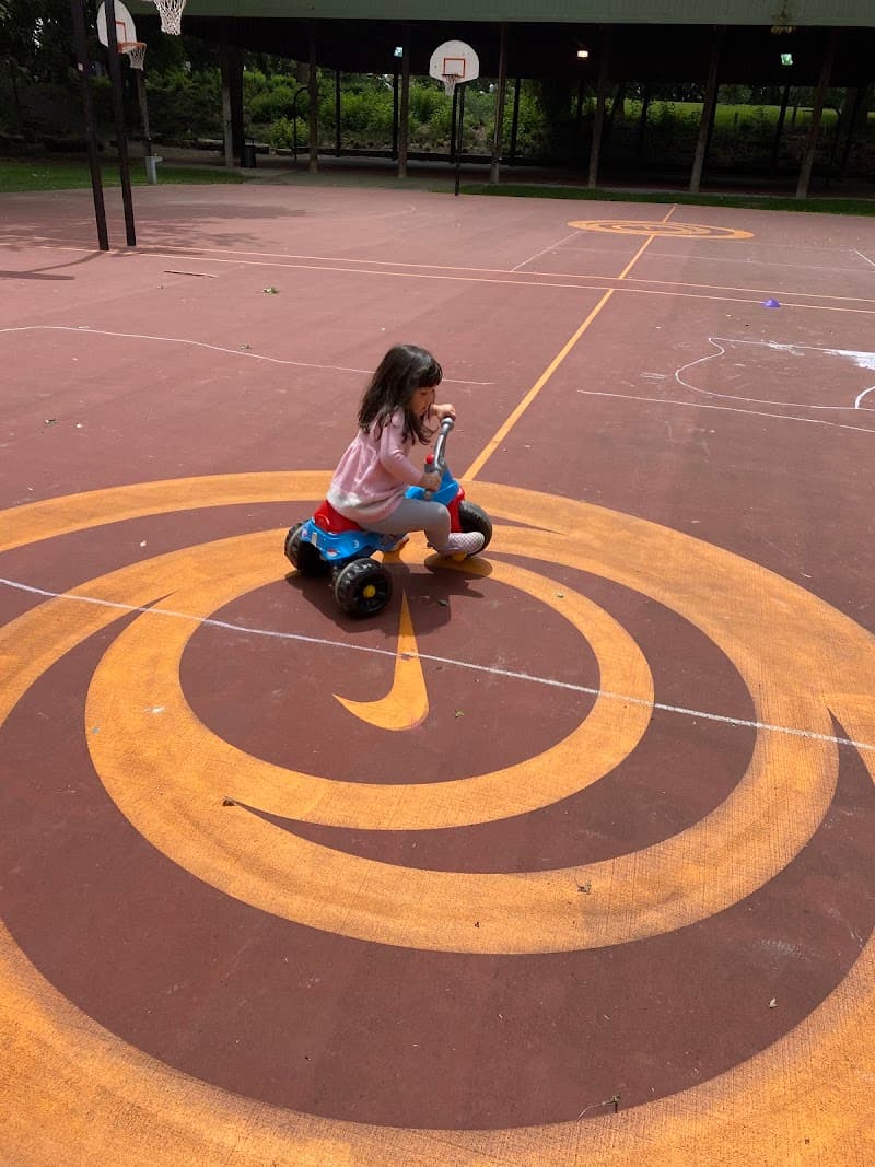 Photo by Morai Ball (Google)