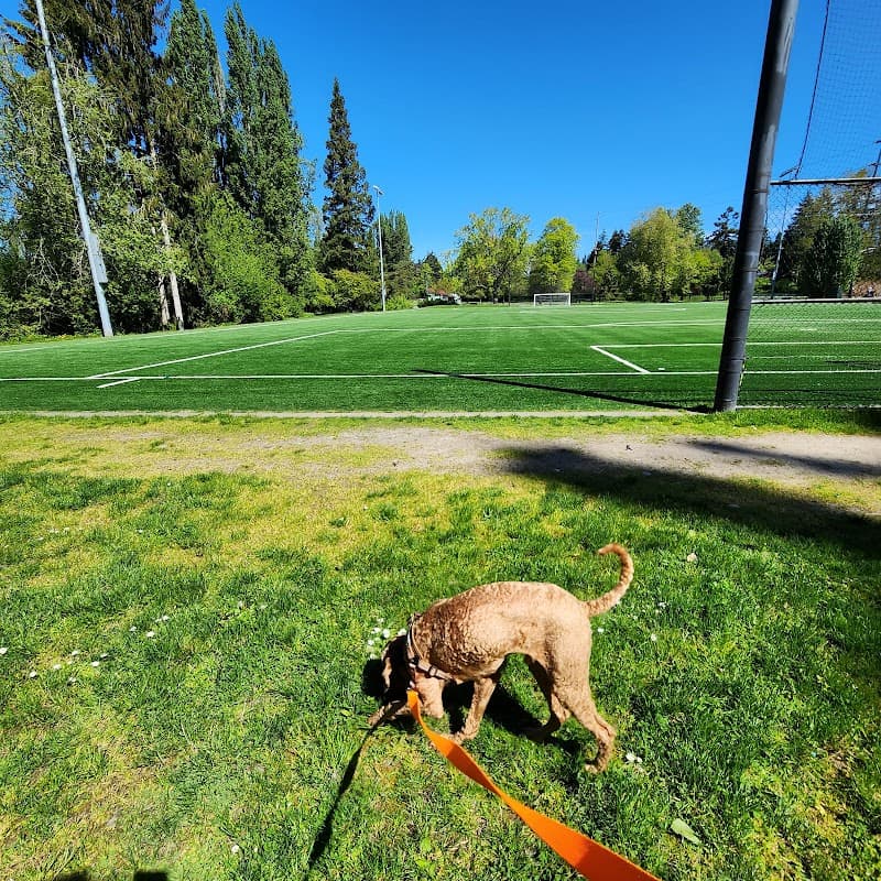Twin Ponds Playfield