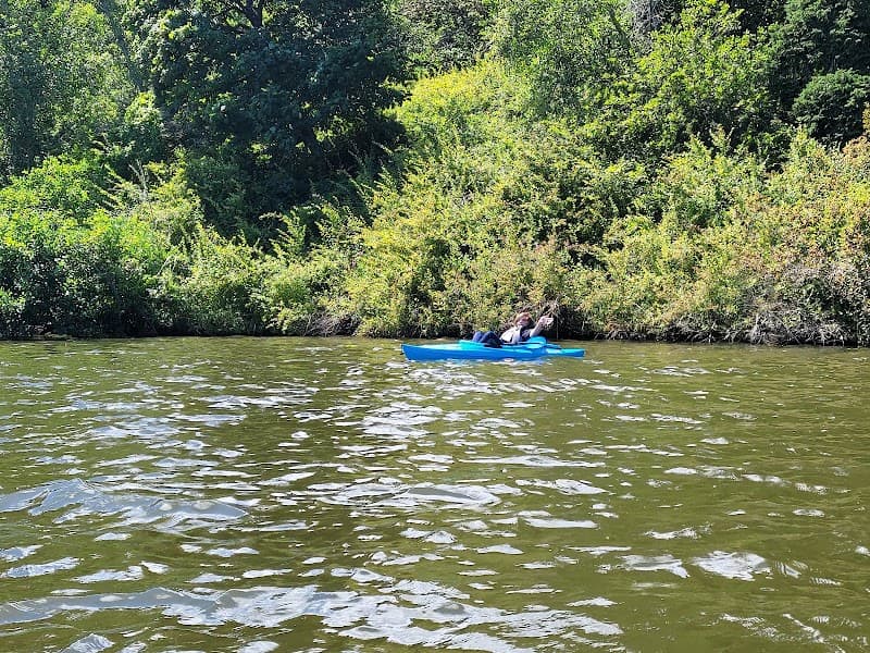 Photo by Jesse Bowlen (Google)