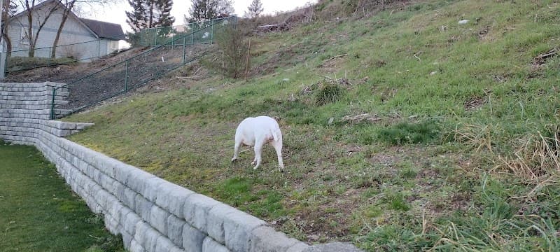 Warren Avenue Playfield