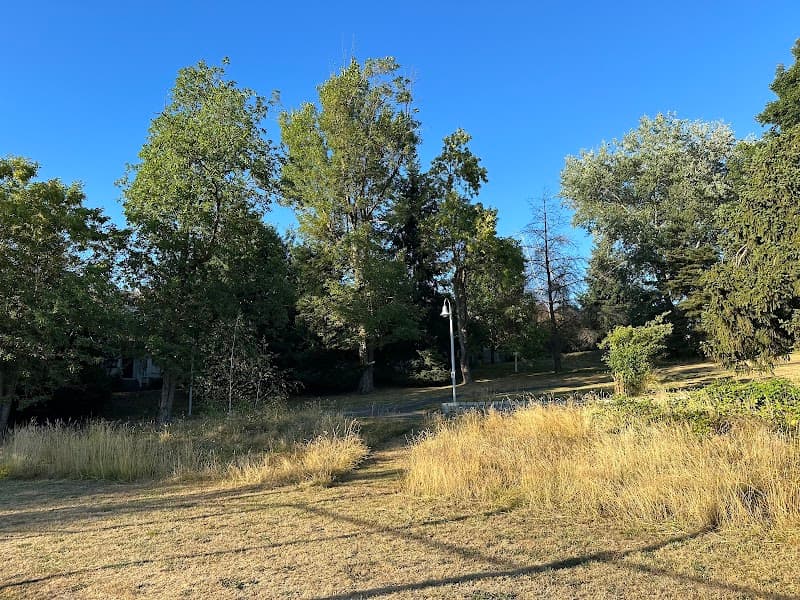 Photo by Danny Tram (Google)