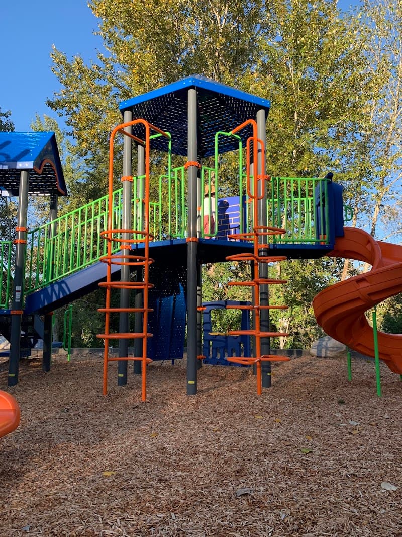 Photo by A Pat Tran (Google)