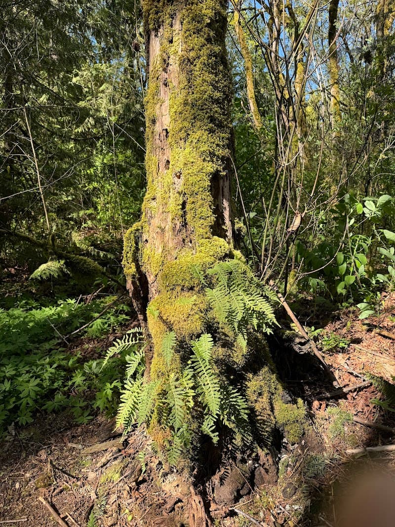 Photo by Rajeev Dwivedi (Google)