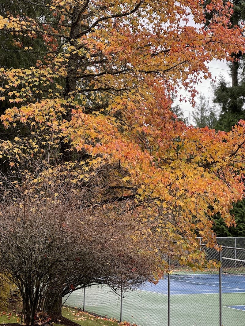 Northeast Sammamish Park