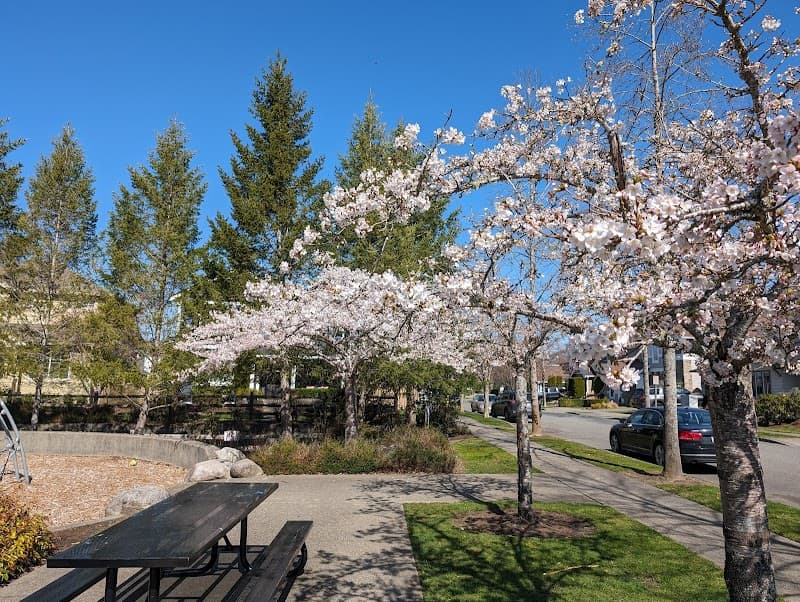 Photo by Jake Forrester (Google)