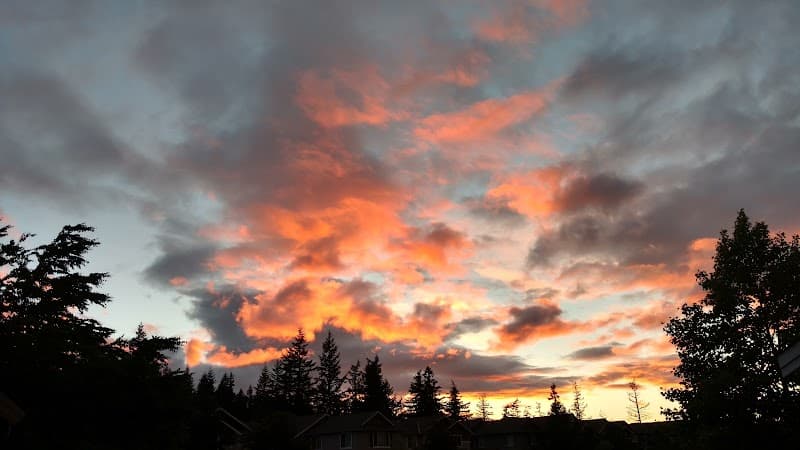 Photo by Janna P (Google)