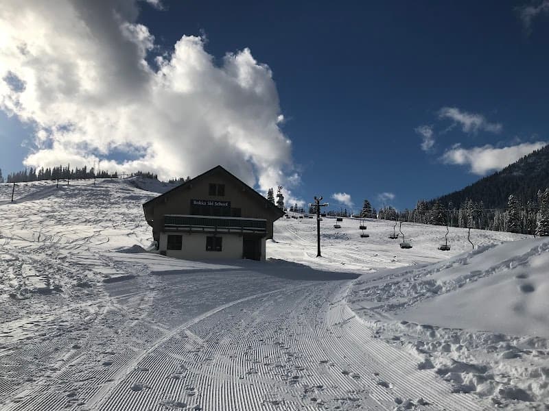 Photo by Janpen (Google)