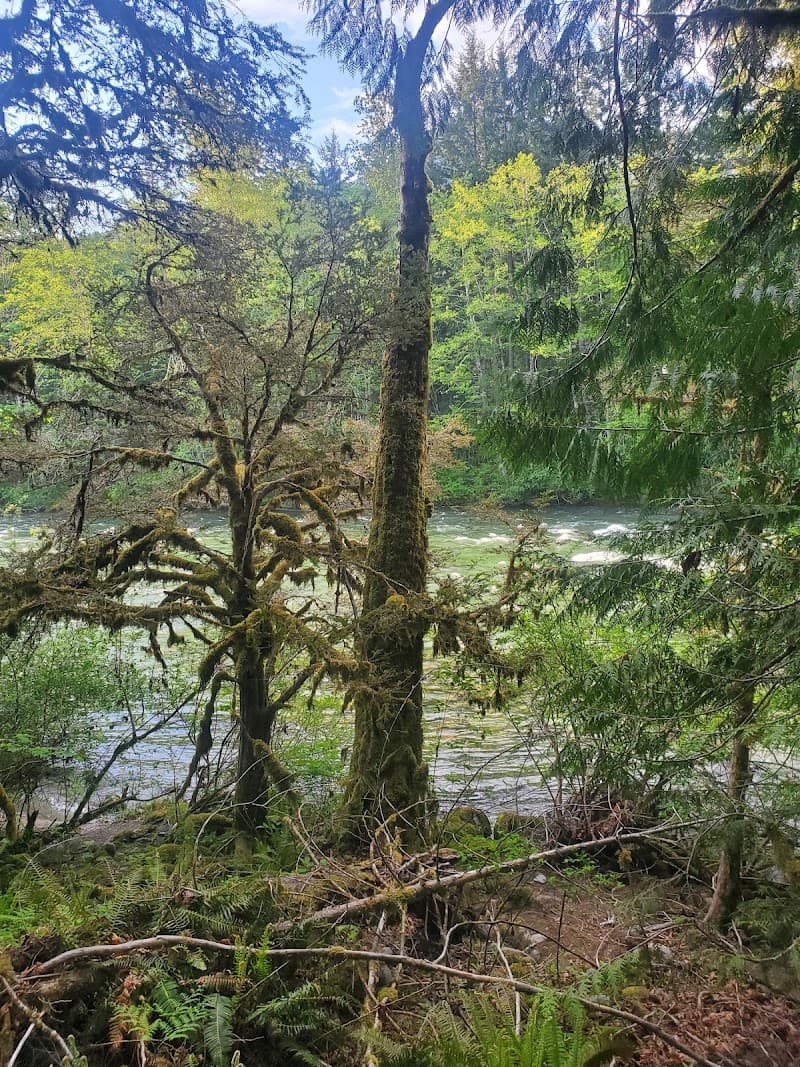 Photo by Stephen Wheeler (Google)