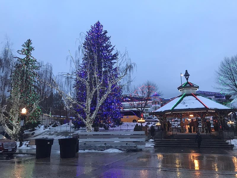 Photo by Ron Ho (Google)