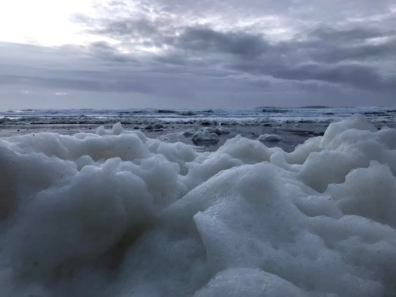 Olivia Beach Community Park