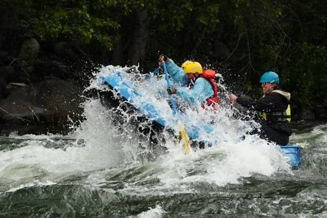 Photo by Camille Renteria (Google)